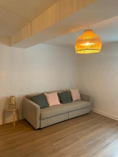 Tour D'Auvergne - Appartements En Plein Centre Ville, Proche De La Cathedrale Et De La Place De Jaude Clermont-Ferrand Eksteriør billede